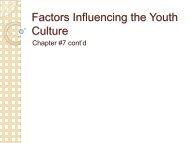 Factors Influencing the Youth Culture.pdf