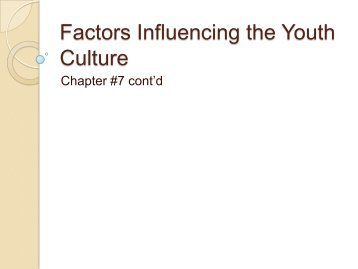 What are the factors affecting youth culture