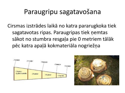 BÄrza stumbra koksnes mitruma un blÄ«vuma izmaiÅas - maplas