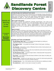 Hands-on learning in the forest! - Manitoba Forestry Association
