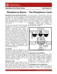 Phosphorus Basics â The Phosphorus Cycle - Cornell University ...