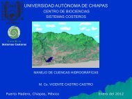 Unidad 1. Generalidades - Universidad AutÃ³noma de Chiapas