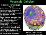 Vescicole Cellulari - Polo Valboite