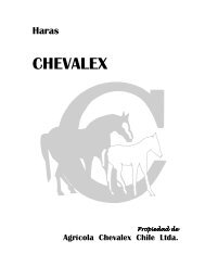 Haras Chevalex.pdf - criadores.cl