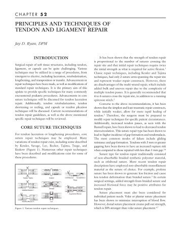 principles and techniques of tendon and ligament repair