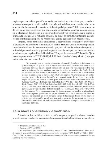 Anuario de Derecho Constitucional Latinoamericano 2007