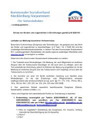 Leidfaden zur Meldung besonderer Vorkommnisse