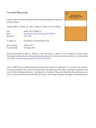 Carbon isotope fractionation during calcium carbonate precipitation ...