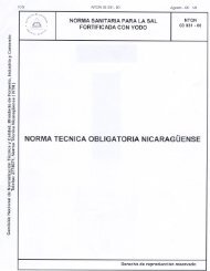 NORMA TECNICA OBLIGATORIA NICARAGÜENSE