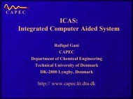 ICAS: Integrated Computer Aided System - CAPEC