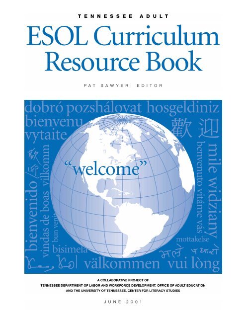 https://img.yumpu.com/50598502/1/500x640/esol-curriculum-resource-book-center-for-literacy-education-.jpg