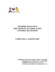 informe ejecutivo pmg sistema planificación control de gestión corte ...