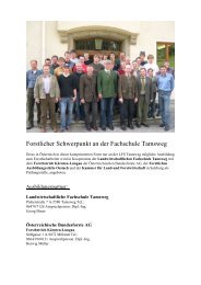 Forstlicher Schwerpunkt an der Fachschule Tamsweg