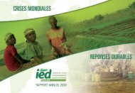 Rapport Annuel 2008 - IED afrique