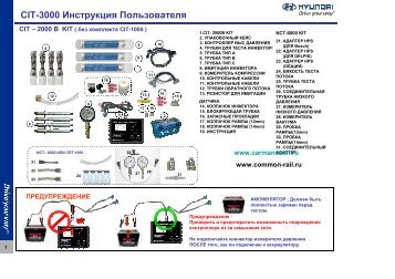 pdf, rus. - COMMON RAIL