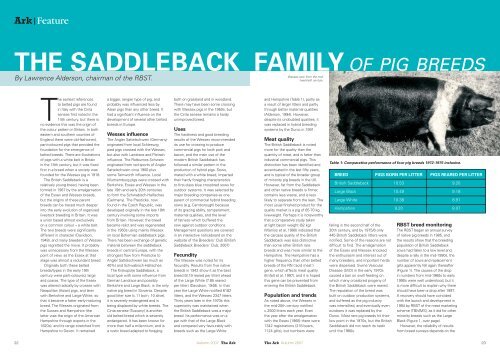 the saddleback familyof pig breeds - Rare Breeds Survival Trust