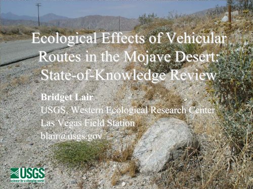 Ecological Effects of Vehicular Routes in the Mojave Desert: State-of ...