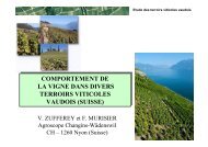comportement de la vigne dans divers terroirs viticoles vaudois