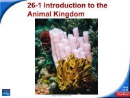 26-1 Introduction to the Animal Kingdom - Hamilton Local Schools