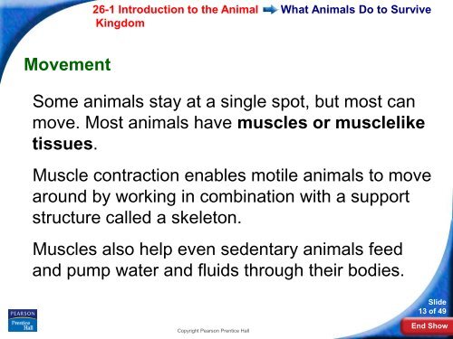 26-1 Introduction to the Animal Kingdom - Hamilton Local Schools