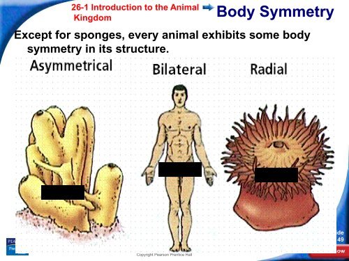 26-1 Introduction to the Animal Kingdom - Hamilton Local Schools