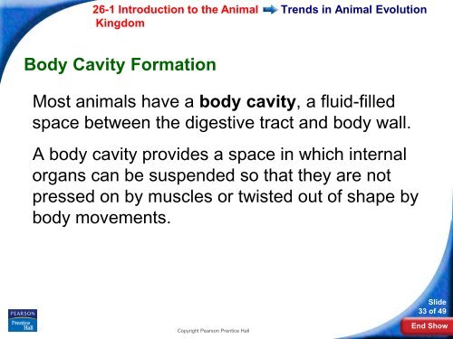 26-1 Introduction to the Animal Kingdom - Hamilton Local Schools