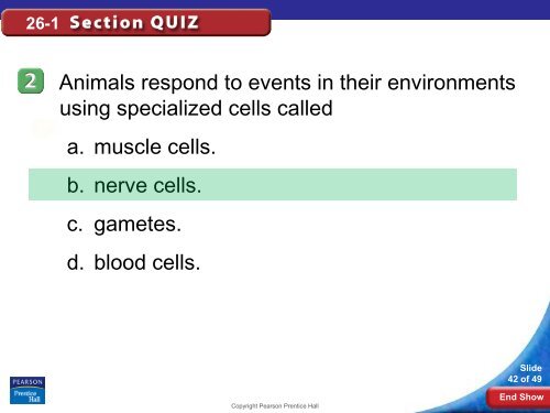 26-1 Introduction to the Animal Kingdom - Hamilton Local Schools