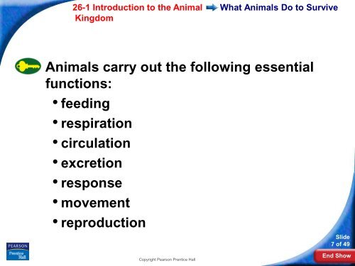 26-1 Introduction to the Animal Kingdom - Hamilton Local Schools
