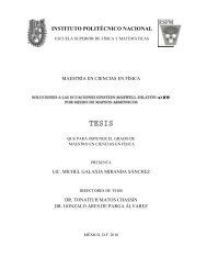 INSTITUTO POLITÃCNICO NACIONAL - Instituto Avanzado de ...