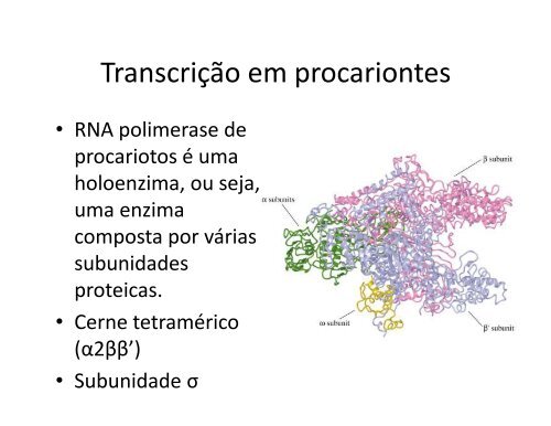TranscriÃ§Ã£o do DNA - Instituto de Biologia da UFRJ