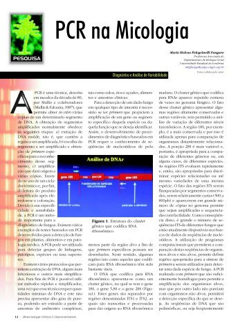 PCR na Micologia - Biotecnologia
