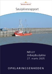 NELLY - Arbejdsulykke den 27. marts 2005 - SÃ¸fartsstyrelsen