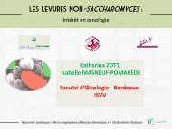 Les levures non-Saccharomyces - Institut FranÃ§ais de la Vigne et du ...