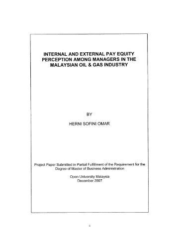 internal and external pay equity perception among managers in the ...