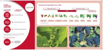 Vivando - BASF Italia Divisione Agro