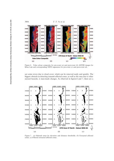 Dual-scale approach for detection of tsunami-affected areas using ...