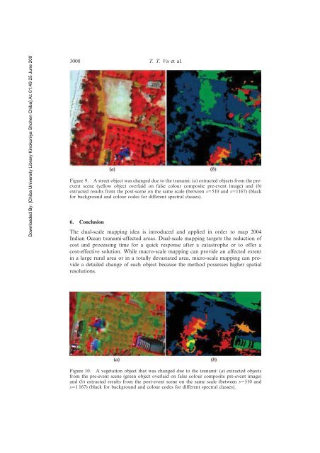 Dual-scale approach for detection of tsunami-affected areas using ...