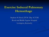 Exercise Induced Pulmonary Hemorrhage Stephen M. Reed, DVM