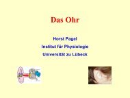 H. Pagel - Institut für Physiologie - Universität zu Lübeck