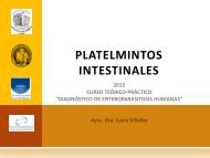 Platelmintos