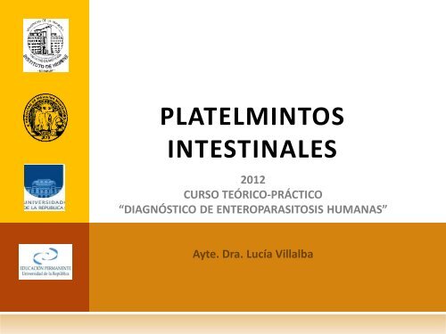 Platelmintos