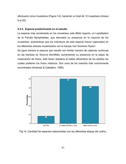 Descargar (2334Kb) - Universidad de El Salvador