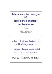 Intérêt de la technologie 3D pour l'enseignement de l'anatomie « l ...