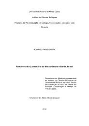 Roedores do QuaternÃ¡rio de Minas Gerais e Bahia, Brasil - ICB ...