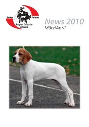 Emma del Brigantino - Setter und Pointer Club Schweiz