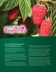 Premium Red Raspberries from Washington State