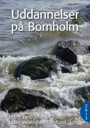 LÃƒÂ¦s mere - Bornholm.dk