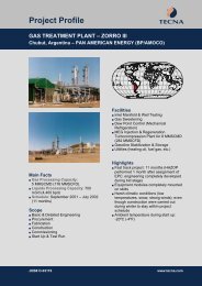 Gas Treatment Plant - Zorro III - Tecna