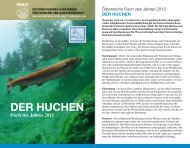 DER HUCHEN - Ãsterreichisches Kuratorium fÃ¼r Fischerei ...