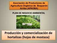 Resumen Plan de Negocio Ambiental - Pyme Parque Chagres